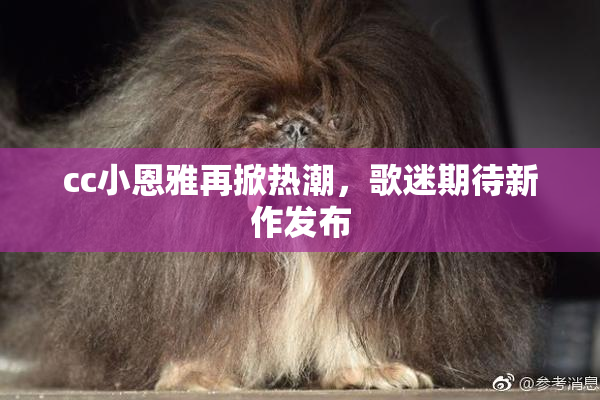 cc小恩雅再掀热潮，歌迷期待新作发布