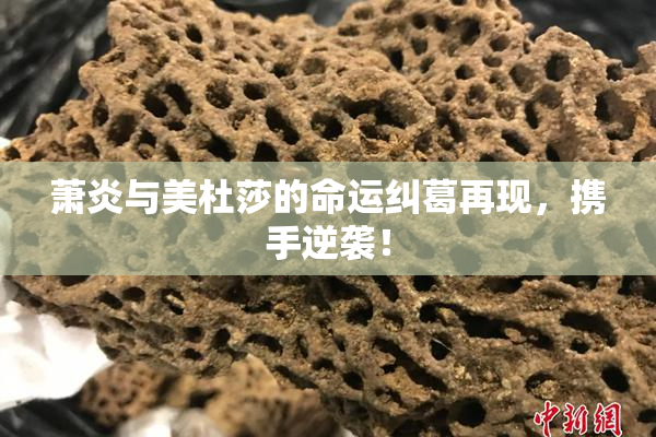 萧炎与美杜莎的命运纠葛再现，携手逆袭！