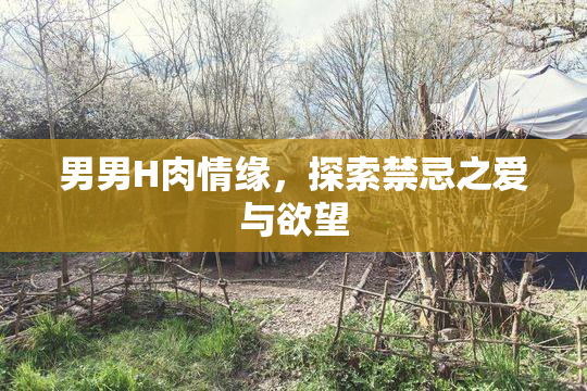 男男H肉情缘，探索禁忌之爱与欲望