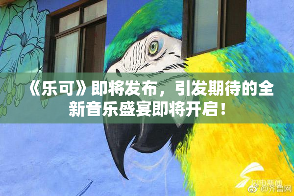 《乐可》即将发布，引发期待的全新音乐盛宴即将开启！