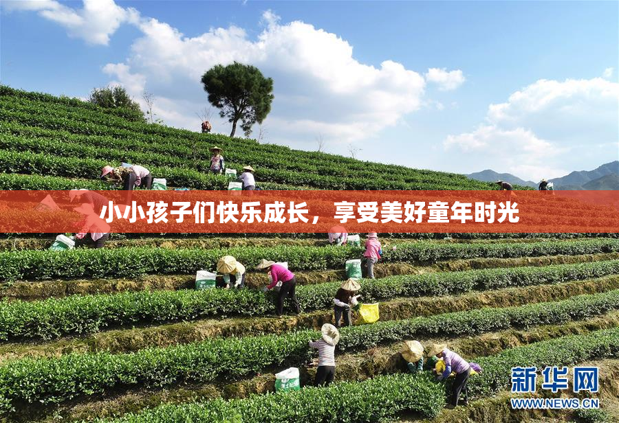 小小孩子们快乐成长，享受美好童年时光