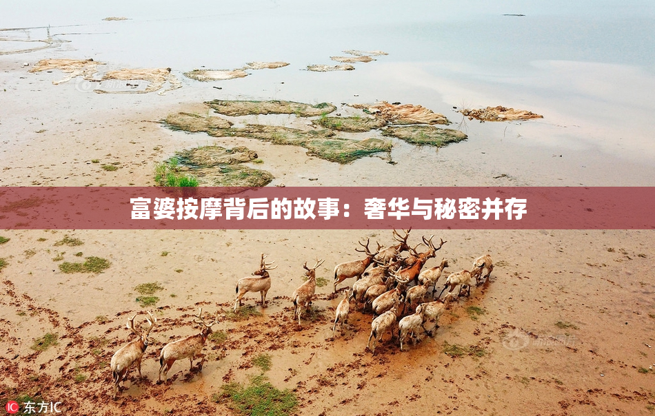 富婆按摩背后的故事：奢华与秘密并存