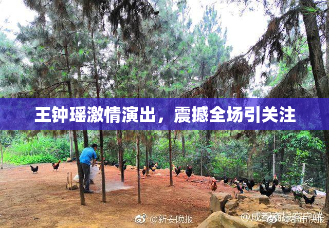 王钟瑶激情演出，震撼全场引关注