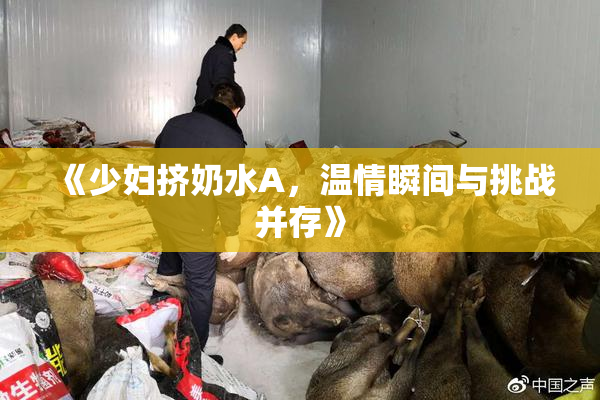 《少妇挤奶水A，温情瞬间与挑战并存》