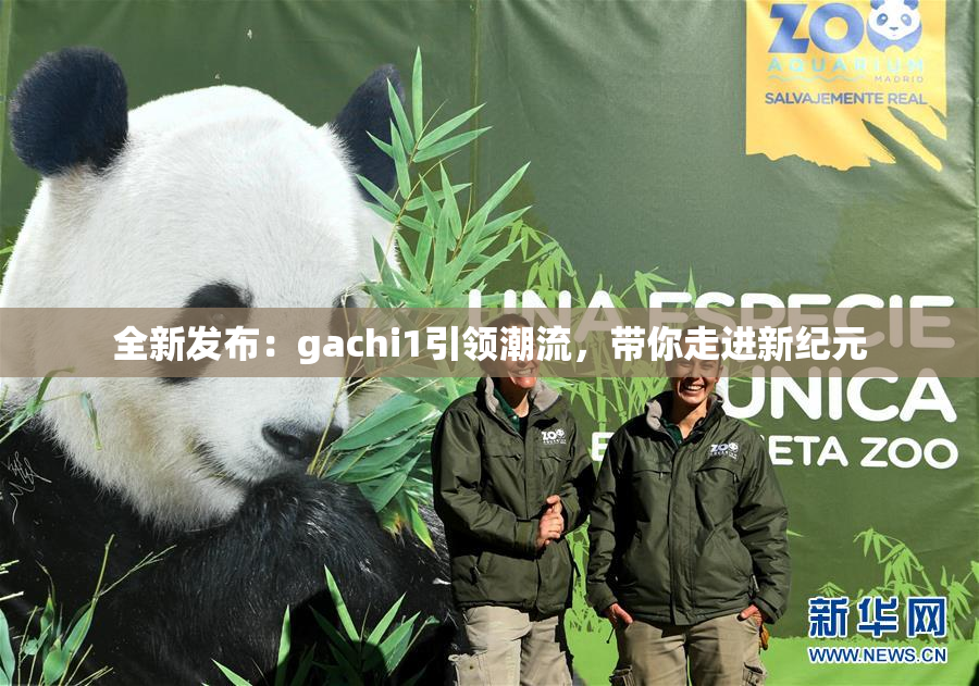 全新发布：gachi1引领潮流，带你走进新纪元