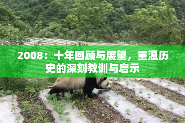 2008：十年回顾与展望，重温历史的深刻教训与启示