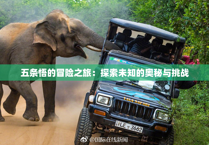 五条悟的冒险之旅：探索未知的奥秘与挑战