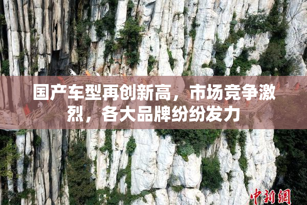 国产车型再创新高，市场竞争激烈，各大品牌纷纷发力