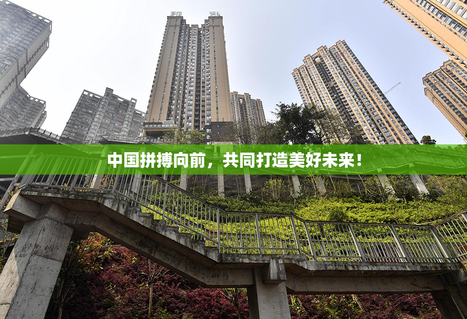 中国拼搏向前，共同打造美好未来！
