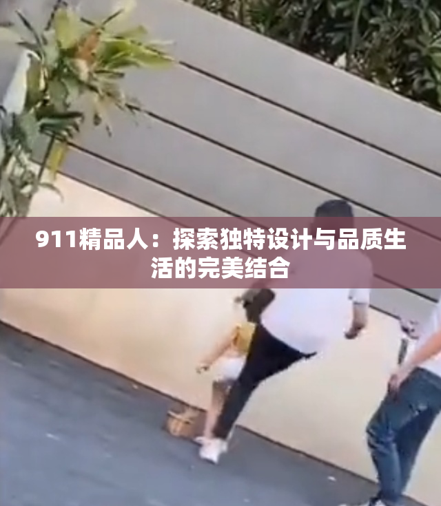 911精品人：探索独特设计与品质生活的完美结合