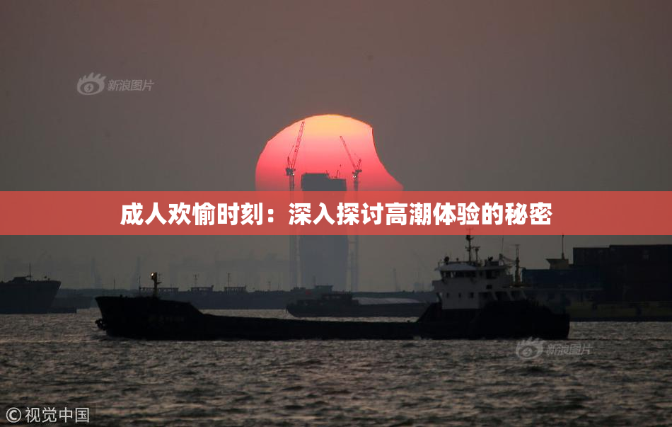 成人欢愉时刻：深入探讨高潮体验的秘密