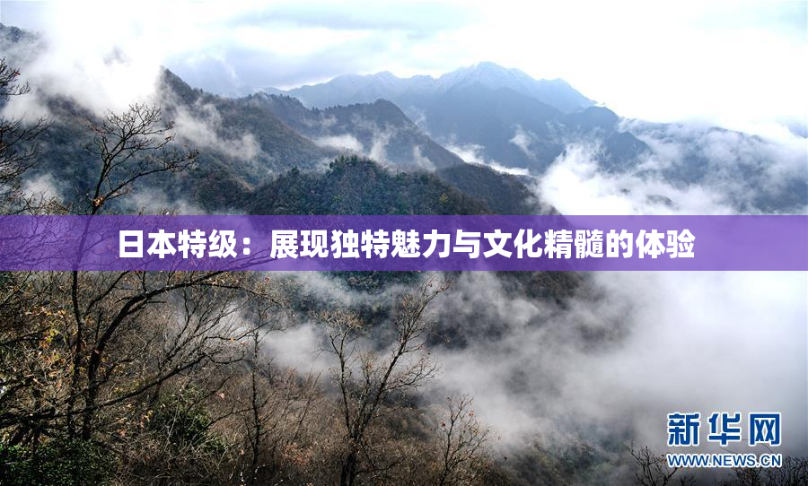 日本特级：展现独特魅力与文化精髓的体验