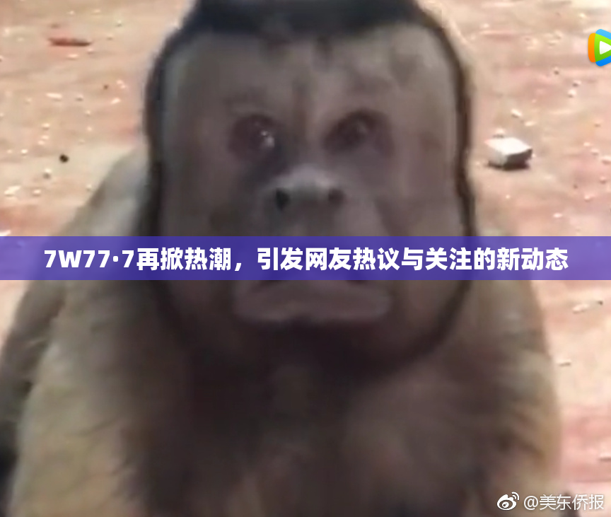 7W77·7再掀热潮，引发网友热议与关注的新动态