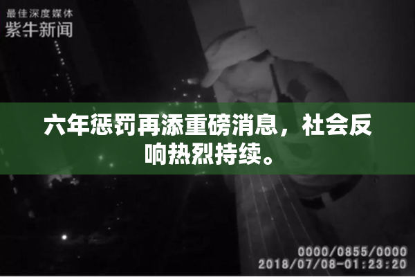 六年惩罚再添重磅消息，社会反响热烈持续。