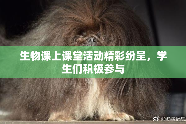 生物课上课堂活动精彩纷呈，学生们积极参与
