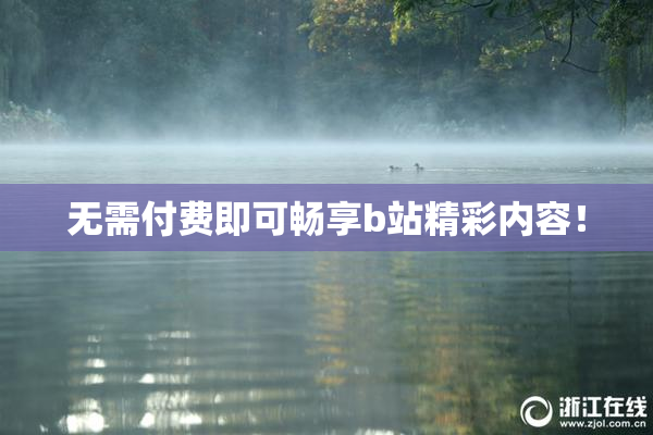 无需付费即可畅享b站精彩内容！