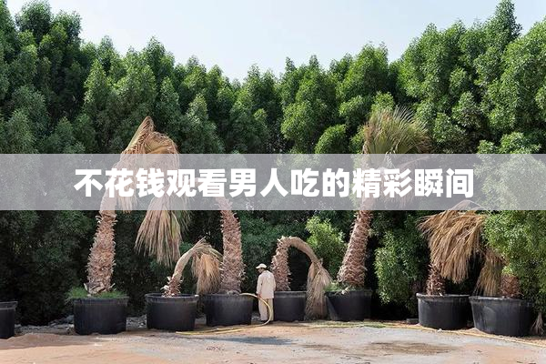 不花钱观看男人吃的精彩瞬间