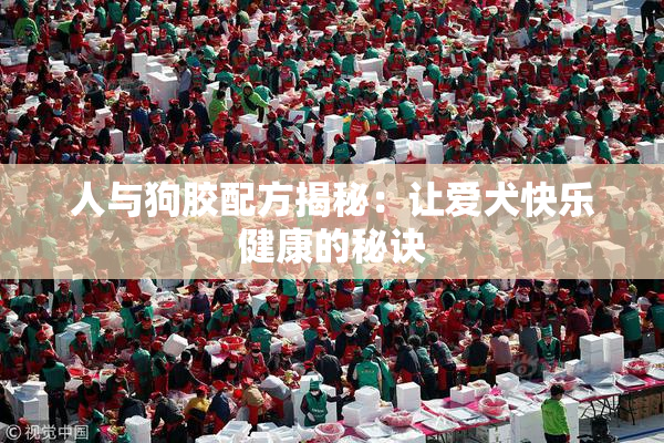 人与狗胶配方揭秘：让爱犬快乐健康的秘诀