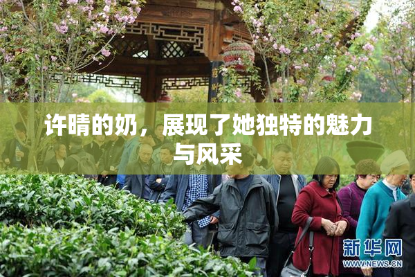 许晴的奶，展现了她独特的魅力与风采