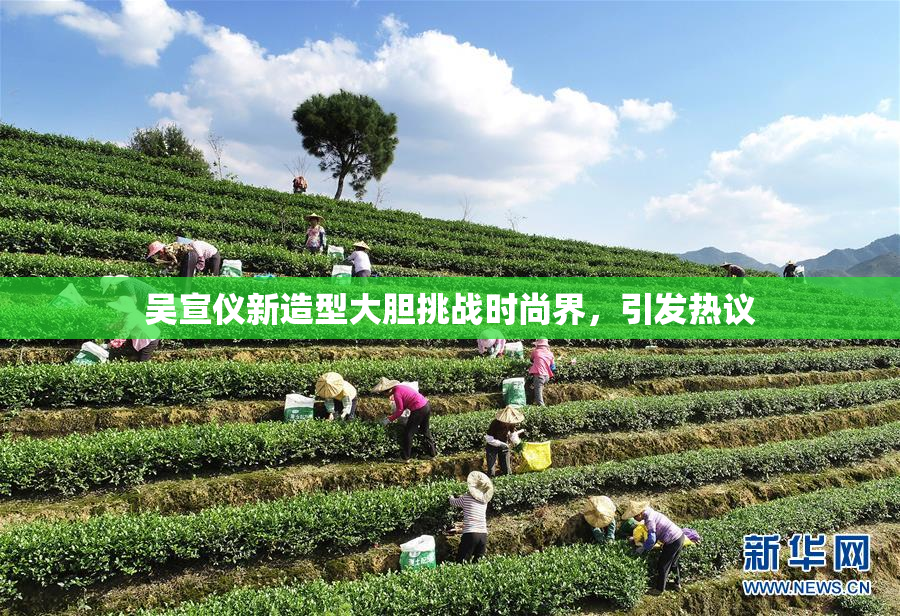 吴宣仪新造型大胆挑战时尚界，引发热议