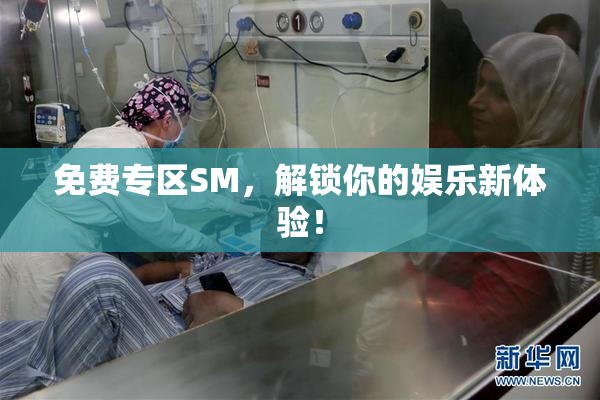 免费专区SM，解锁你的娱乐新体验！