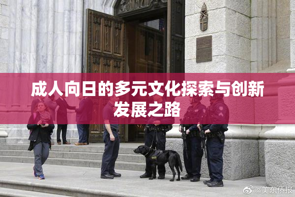 成人向日的多元文化探索与创新发展之路
