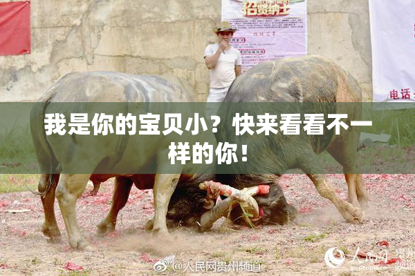 我是你的宝贝小？快来看看不一样的你！