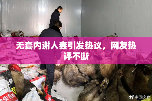 无套内谢人妻引发热议，网友热评不断