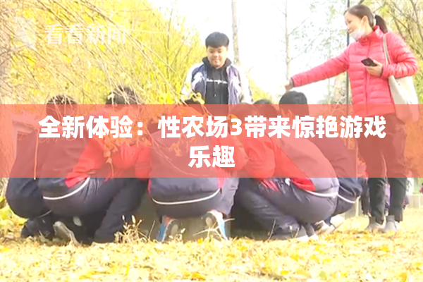 全新体验：性农场3带来惊艳游戏乐趣