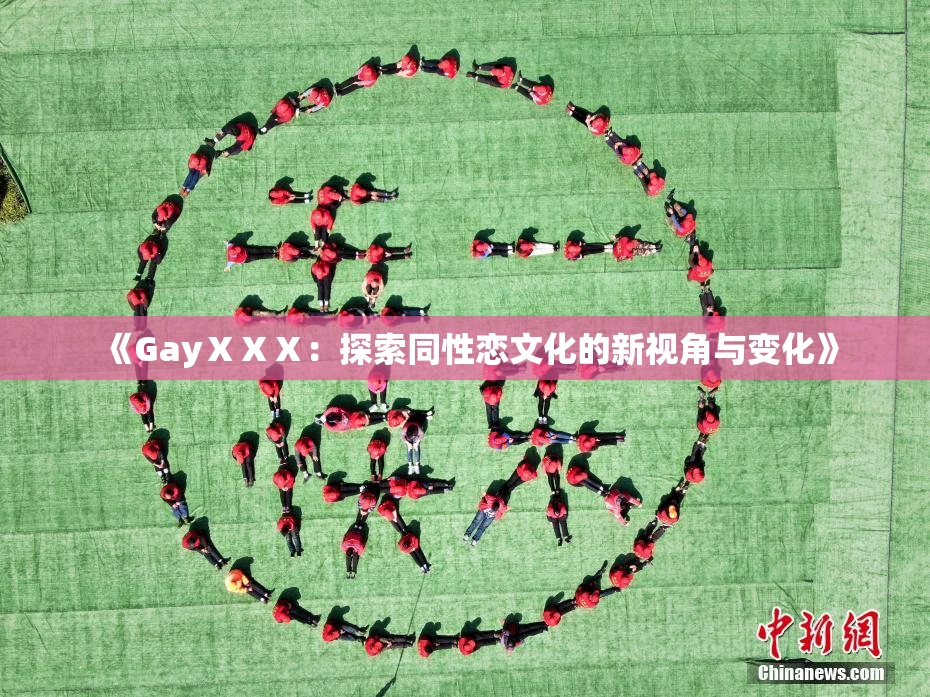 《GayⅩⅩⅩ：探索同性恋文化的新视角与变化》