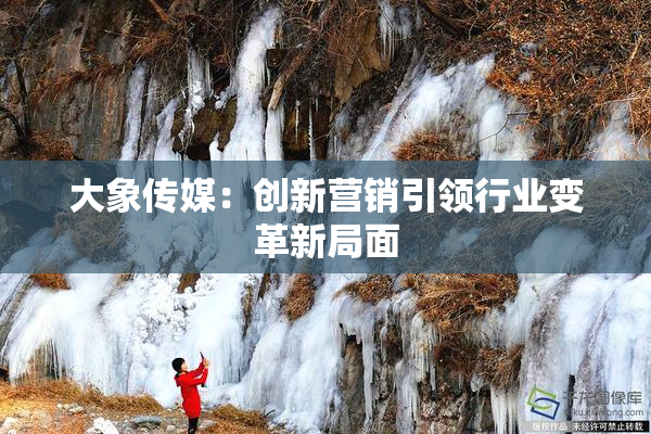 大象传媒：创新营销引领行业变革新局面