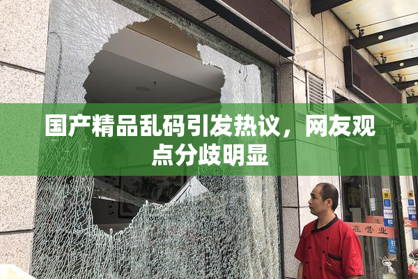 国产精品乱码引发热议，网友观点分歧明显