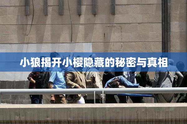 小狼揭开小樱隐藏的秘密与真相