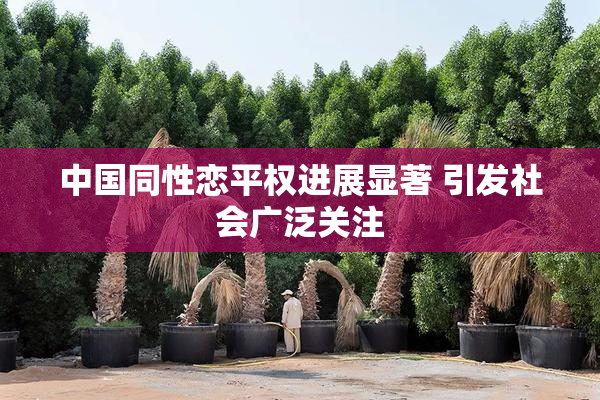 中国同性恋平权进展显著 引发社会广泛关注