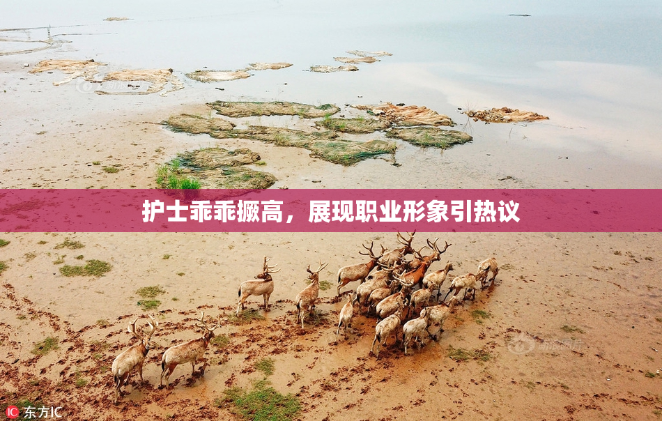 护士乖乖撅高，展现职业形象引热议