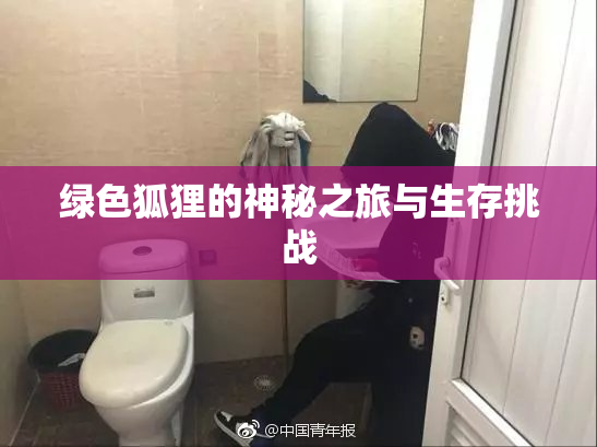 绿色狐狸的神秘之旅与生存挑战