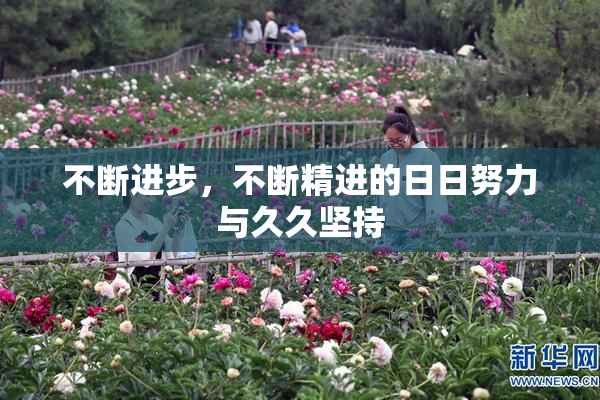 不断进步，不断精进的日日努力与久久坚持