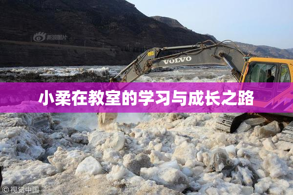 小柔在教室的学习与成长之路