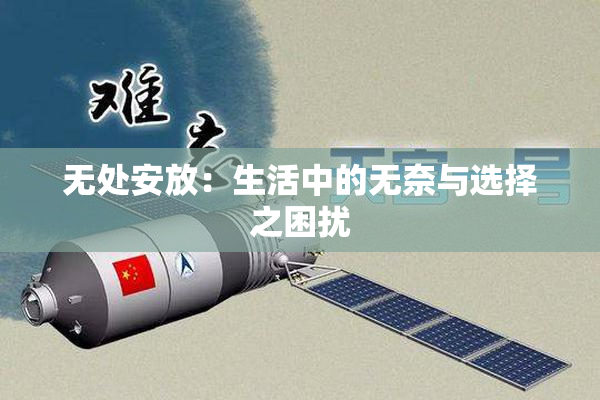 无处安放：生活中的无奈与选择之困扰