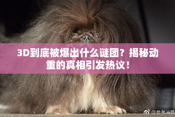 3D到底被爆出什么谜团？揭秘动重的真相引发热议！