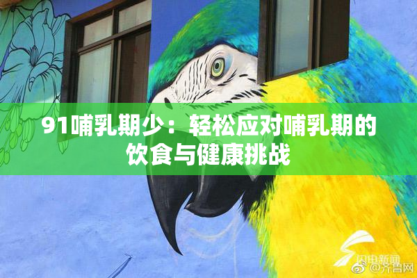91哺乳期少：轻松应对哺乳期的饮食与健康挑战