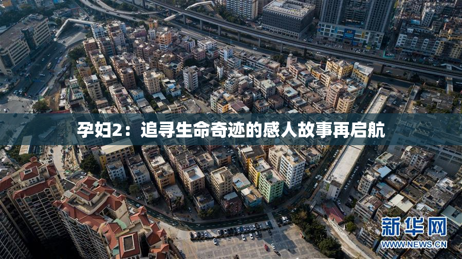 孕妇2：追寻生命奇迹的感人故事再启航