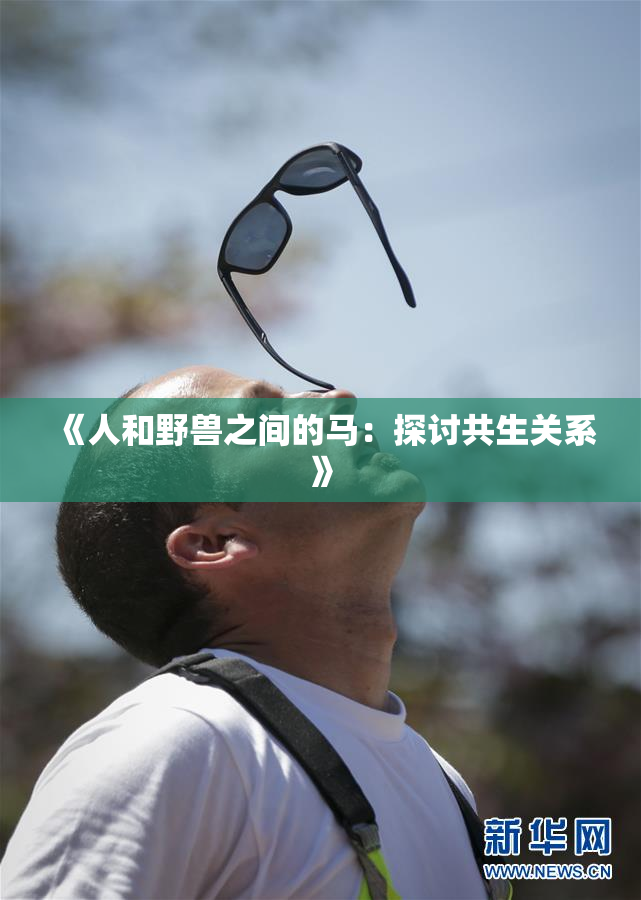《人和野兽之间的马：探讨共生关系》