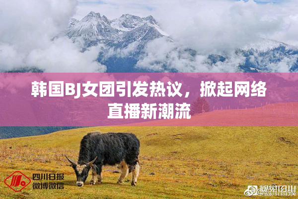 韩国BJ女团引发热议，掀起网络直播新潮流
