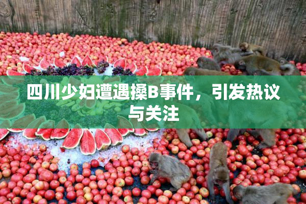 四川少妇遭遇搡B事件，引发热议与关注