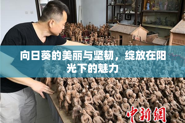 向日葵的美丽与坚韧，绽放在阳光下的魅力
