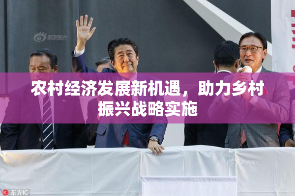 农村经济发展新机遇，助力乡村振兴战略实施