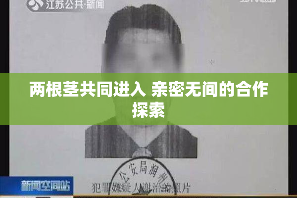 两根茎共同进入 亲密无间的合作探索
