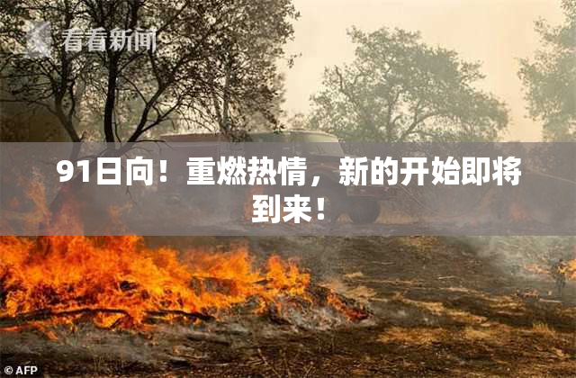 91日向！重燃热情，新的开始即将到来！