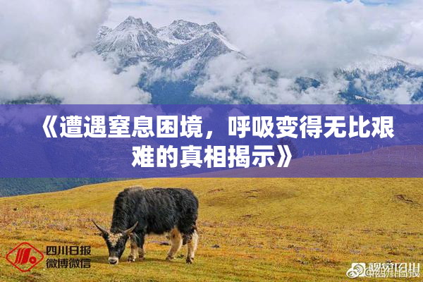 《遭遇窒息困境，呼吸变得无比艰难的真相揭示》